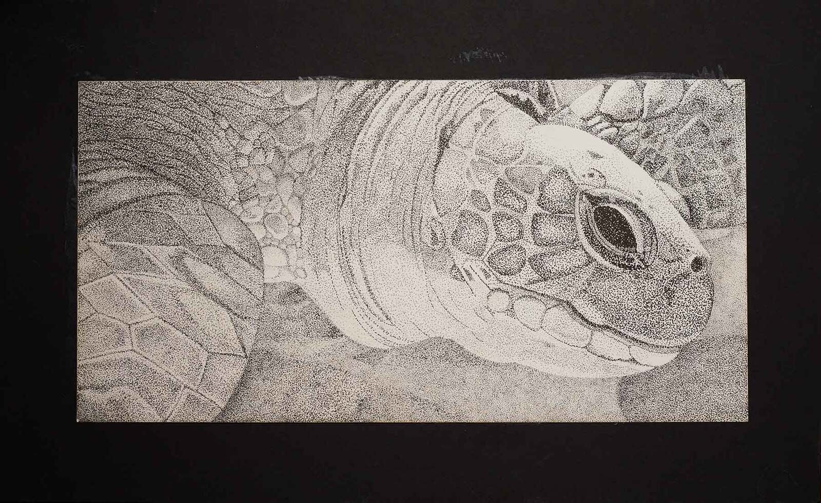 Sea Turtle Pointillism